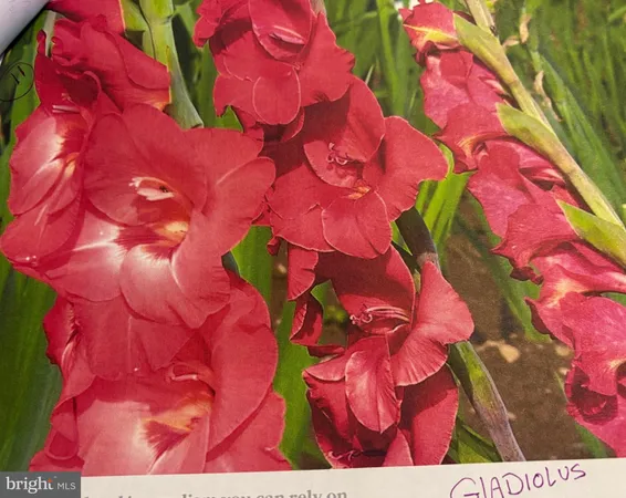 $640,000 | 6 Bradley Circle, Middletown, DE 19709