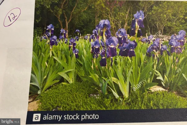 $640,000 | 6 Bradley Circle, Middletown, DE 19709