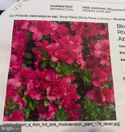 $640,000 | 6 Bradley Circle, Middletown, DE 19709