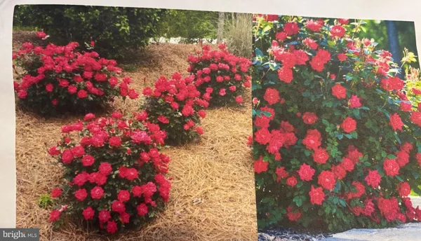 $640,000 | 6 Bradley Circle, Middletown, DE 19709