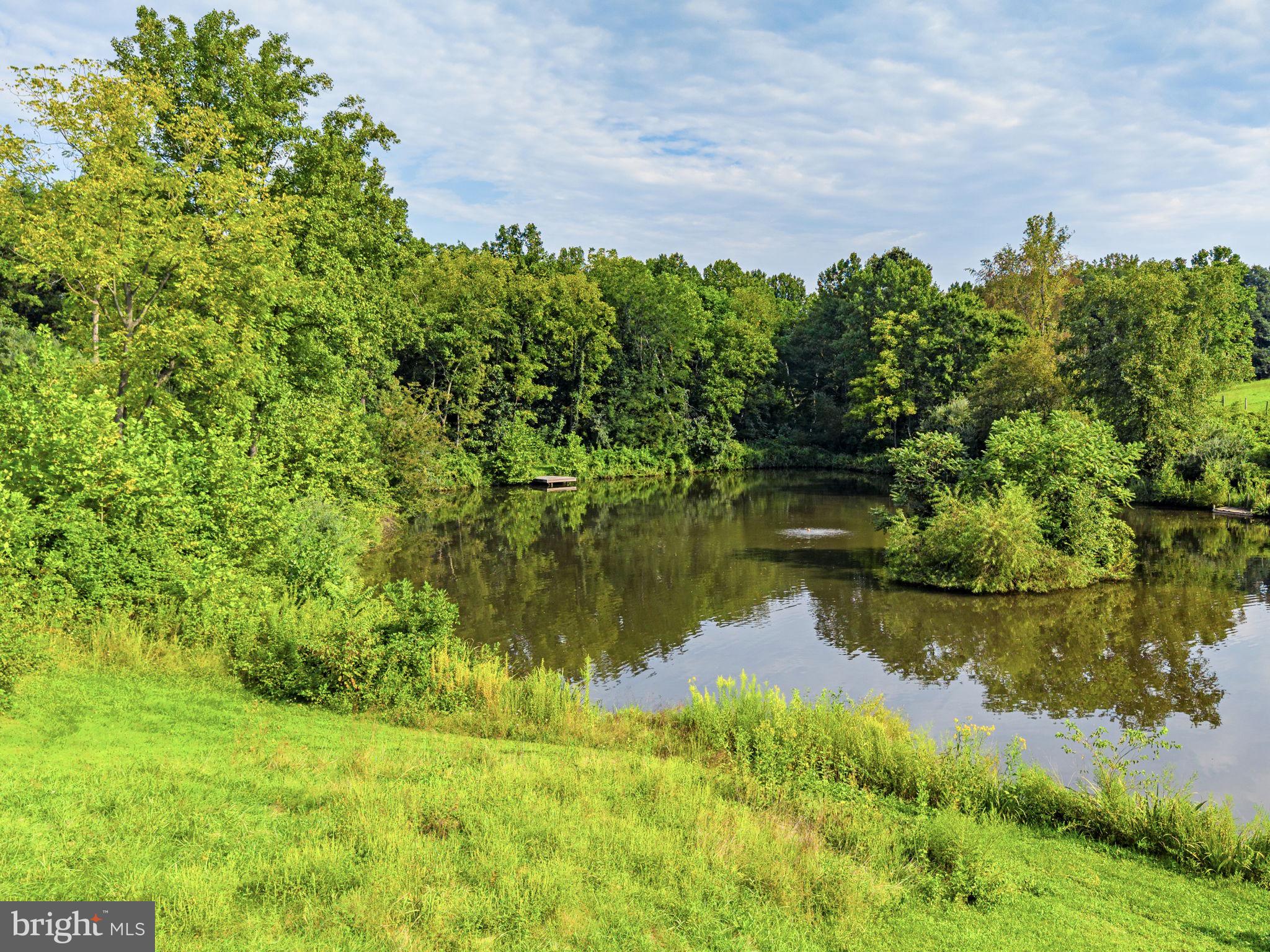 9470 Maidstone Road Delaplane, VA 20144 - Photo 73 of 80 Gallery Image 73