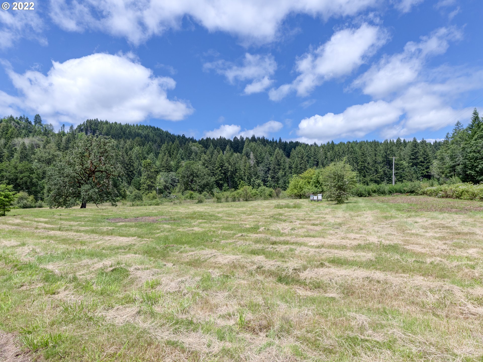 88832 Knight Road Veneta, OR 97487 - Photo 26 of 32 Gallery Image 26