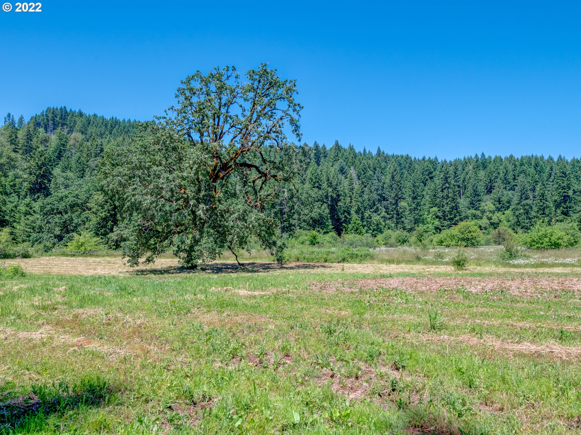 88832 Knight Road Veneta, OR 97487 - Photo 3 of 32 Gallery Image 3