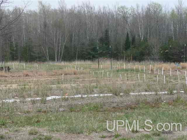 140 Co Road Negaunee, MI 49866 - Photo 12 of 14