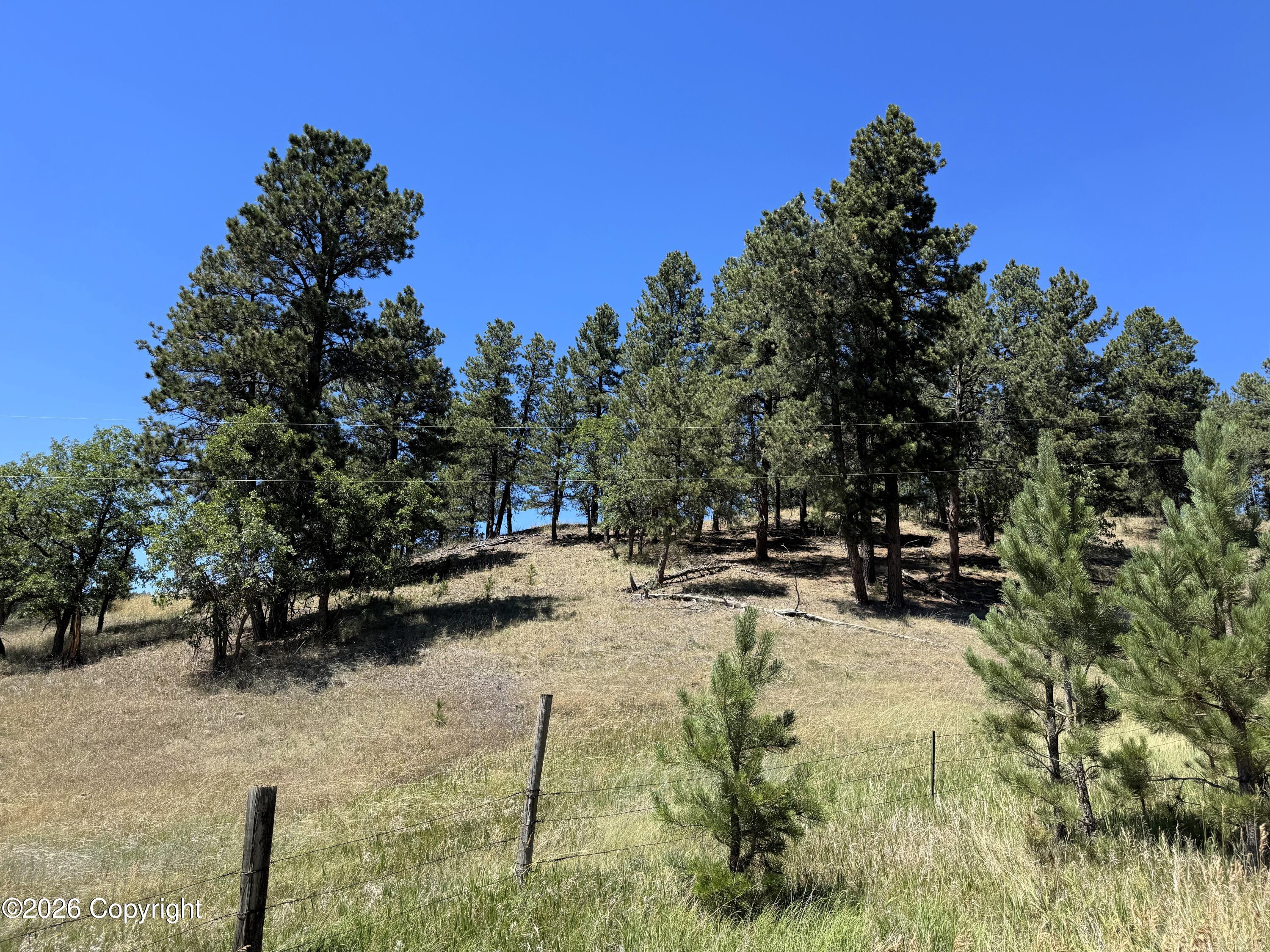 Tbd Kimball Road Aladdin, WY 82710 - Photo 8 of 10 Gallery Image 8