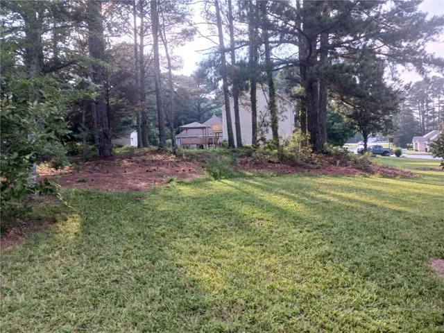 a view of a park with plants