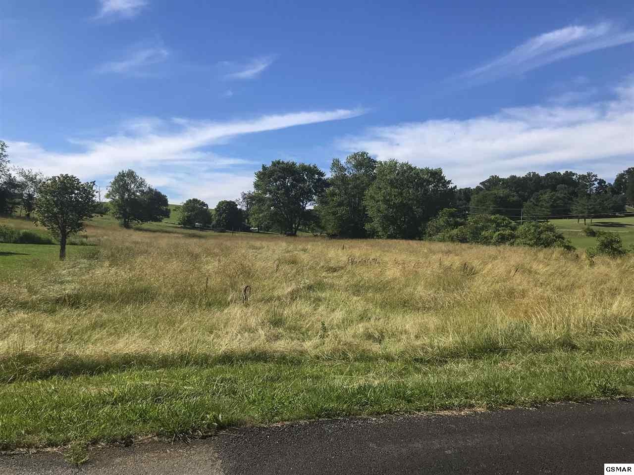 16 Hale Road Dandridge, TN 37725 - Photo 4 of 15