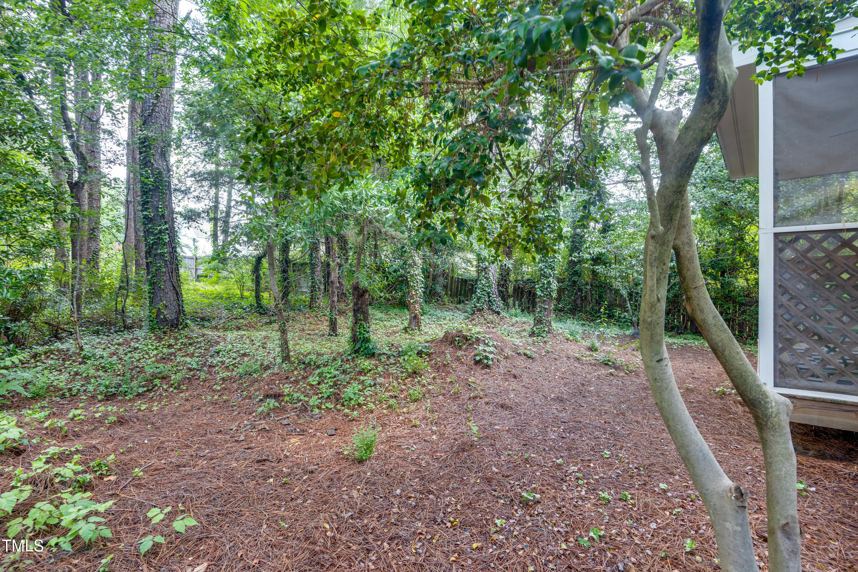 3421 East Jameson Road Raleigh, NC 27604 - Photo 21 of 25 Back 3(1)