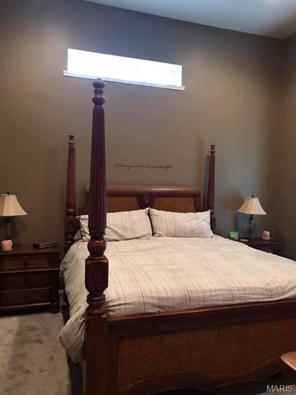 1082 County Road 349 Jackson, MO 63755 - Photo 4 of 7