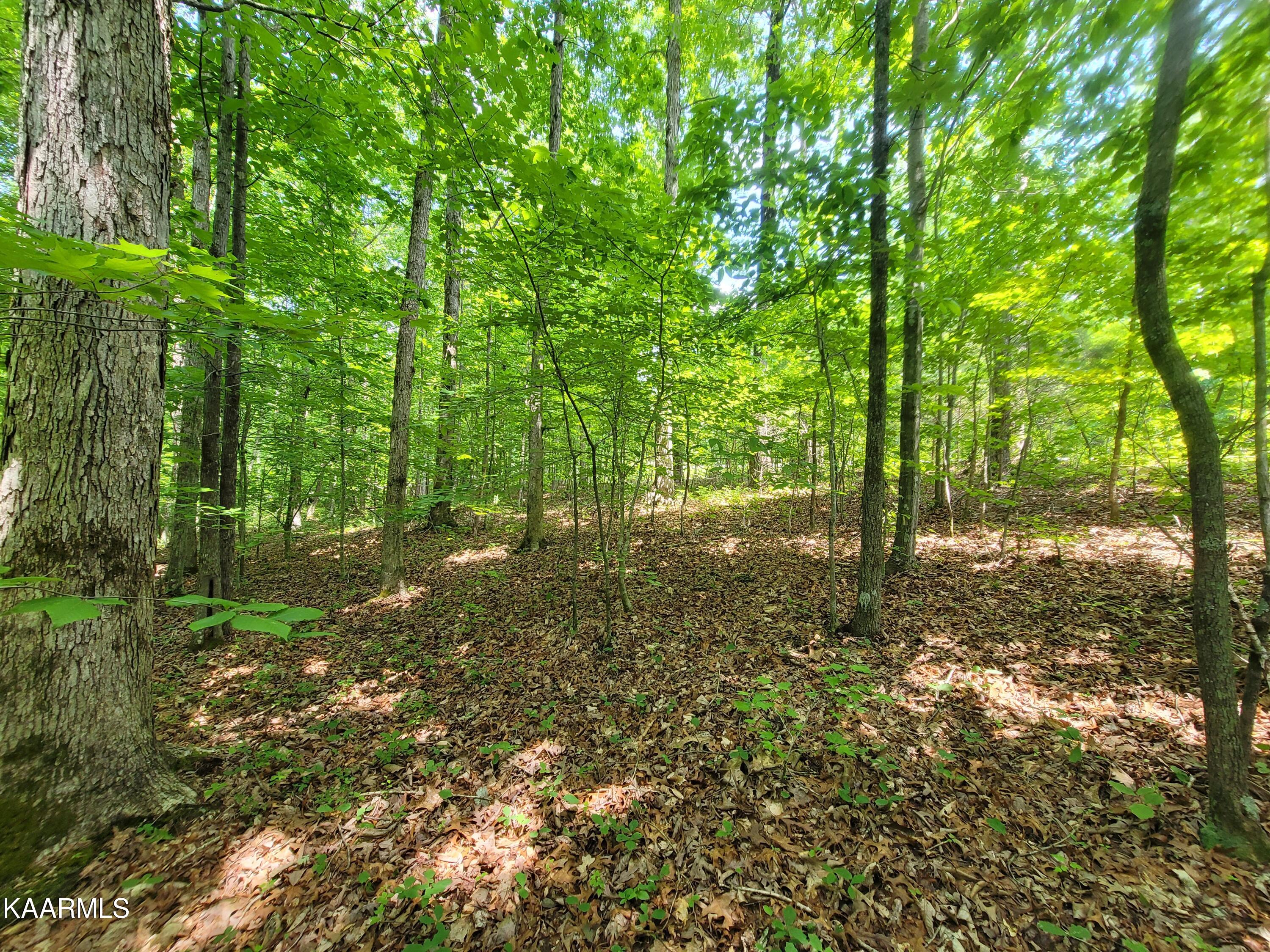 Riverwatch Trace Sparta, TN 38583 - Photo 3 of 13 20230519_133142