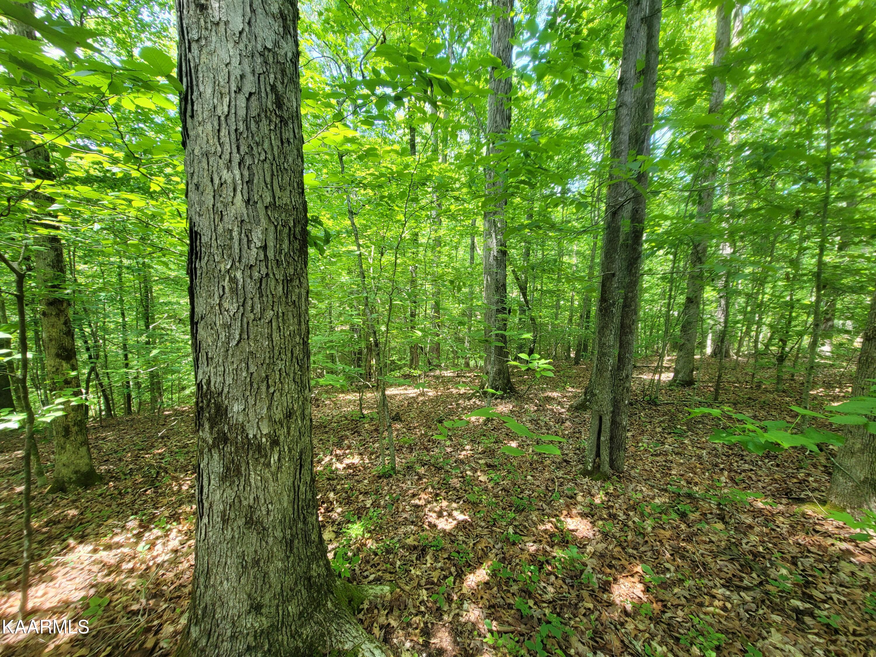 Riverwatch Trace Sparta, TN 38583 - Photo 4 of 13 20230519_133154