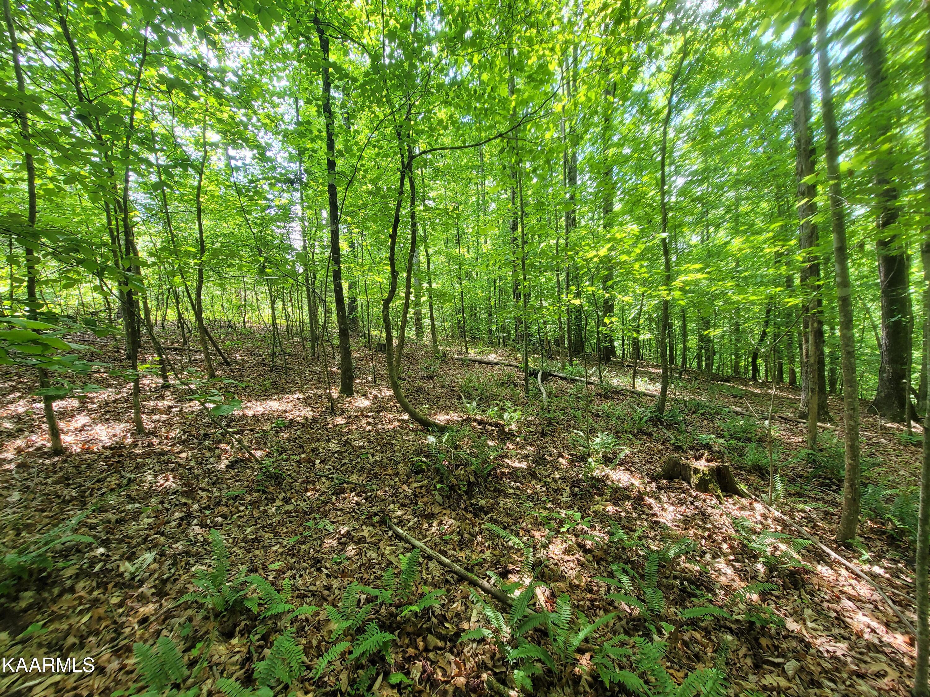Riverwatch Trace Sparta, TN 38583 - Photo 6 of 13 20230519_133414