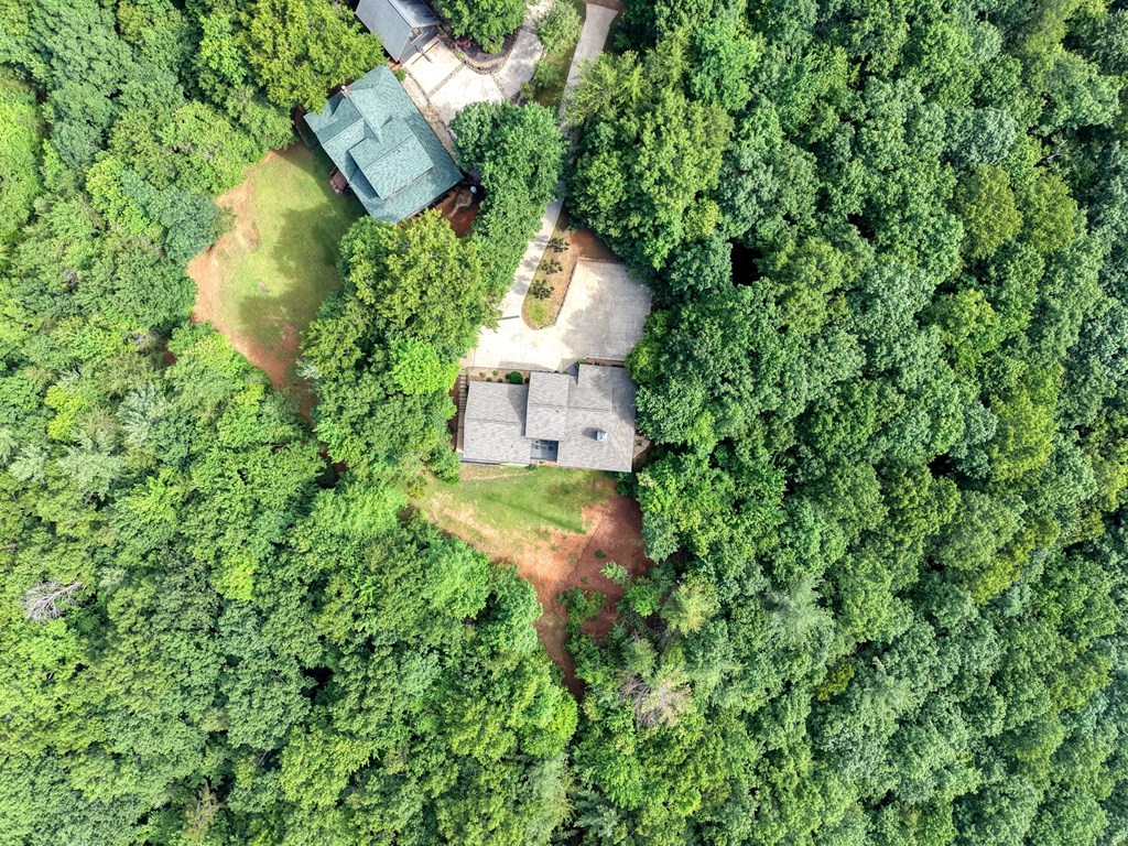 237 Flat Rock Ridge Road Blairsville, GA 30512 - Photo 74 of 75