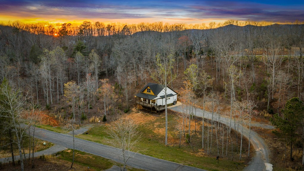 78 Lake Top Lane Ellijay, GA 30540 - Photo 55 of 76