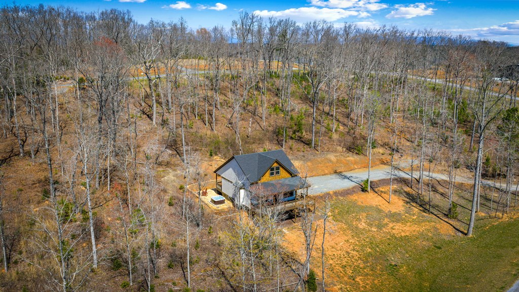 78 Lake Top Lane Ellijay, GA 30540 - Photo 64 of 76