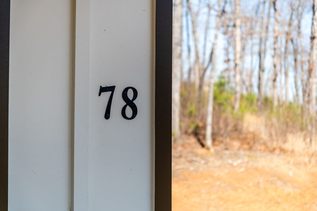 78 Lake Top Lane Ellijay, GA 30540 - Photo 71 of 76