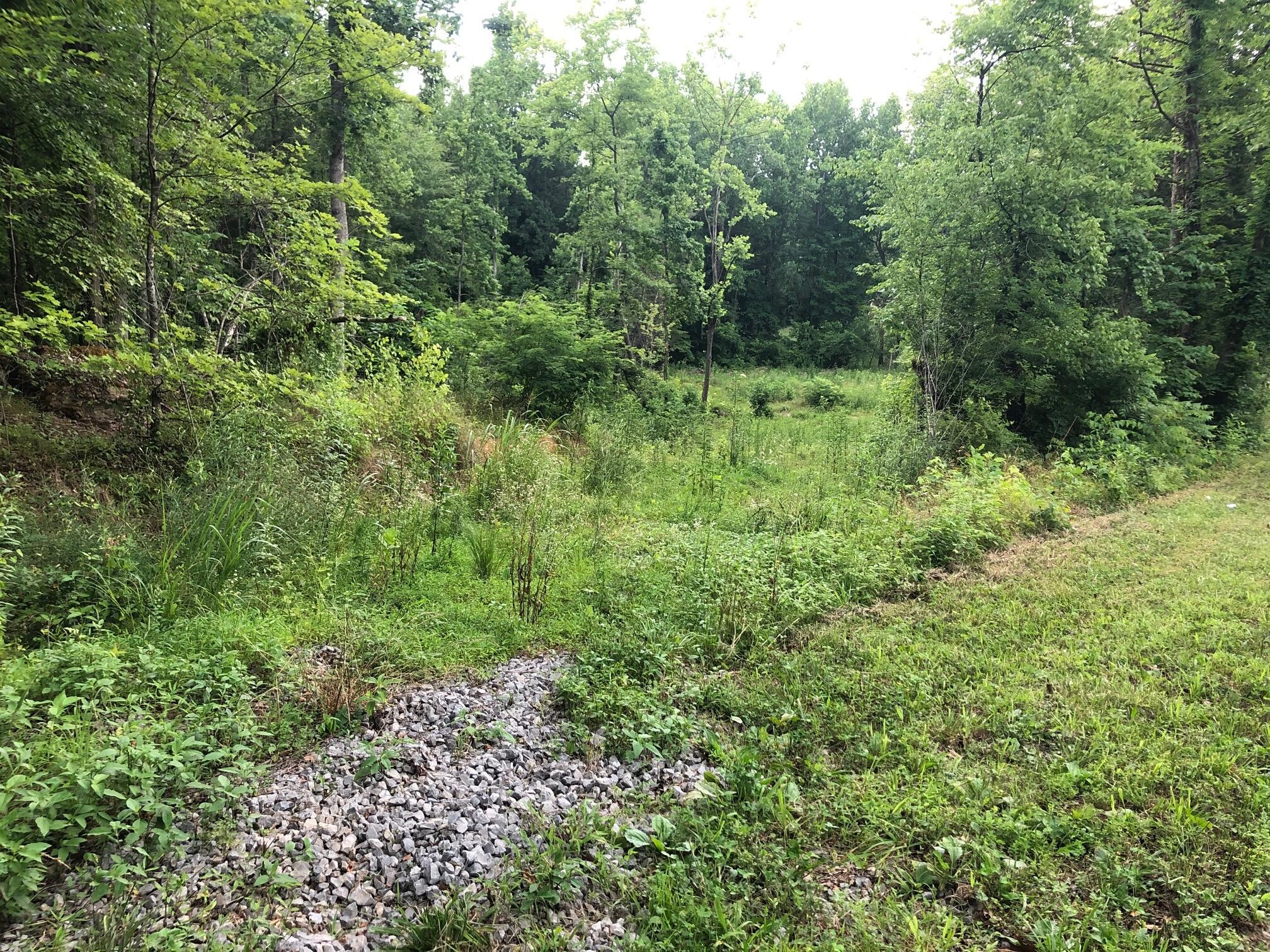2 Co Road Athens, TN 37303 - Photo 2 of 5 Gallery Image 2
