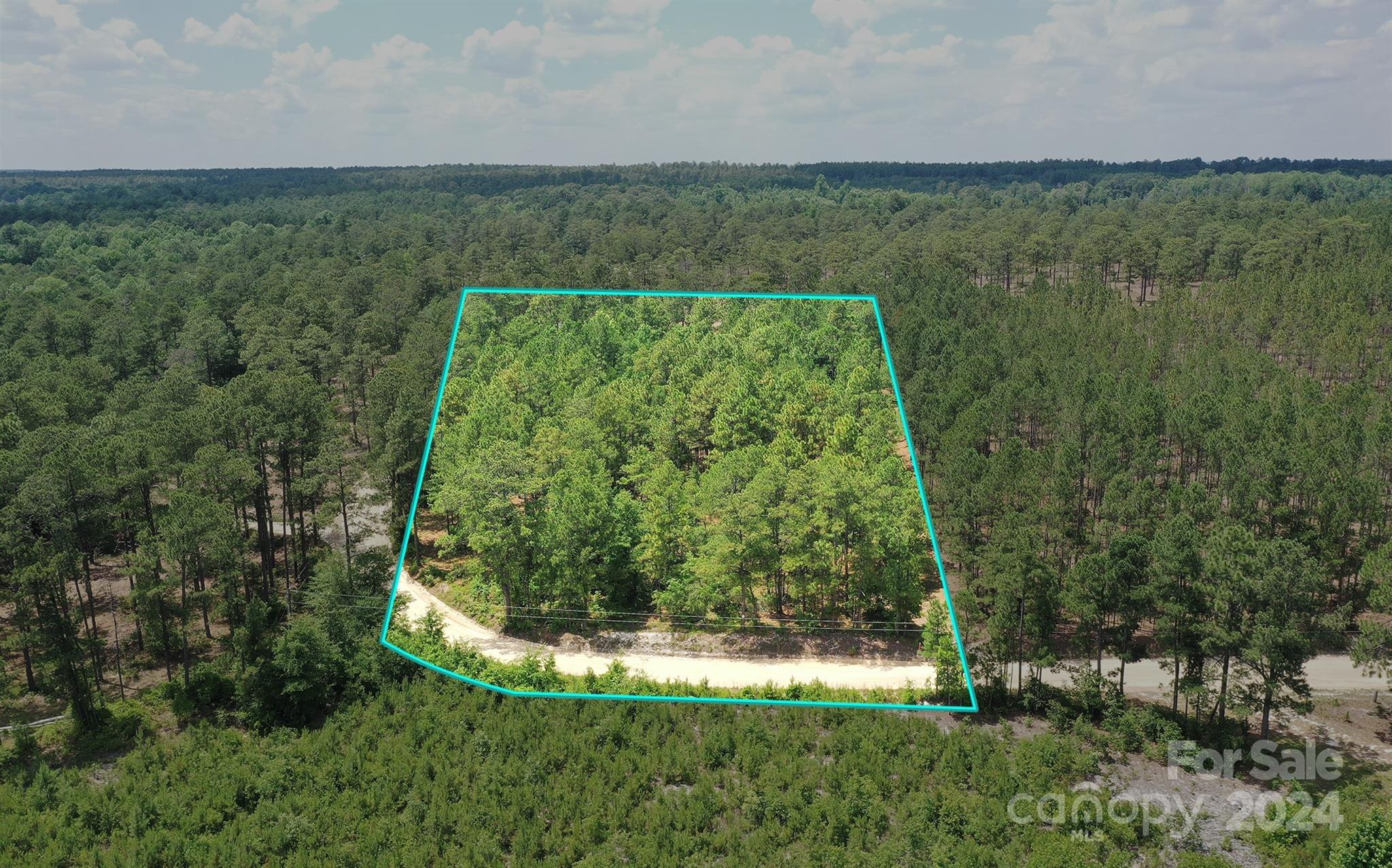 0 Jordan Farm Road Patrick, SC 29584 - Photo 1 of 15 Gallery Image 1