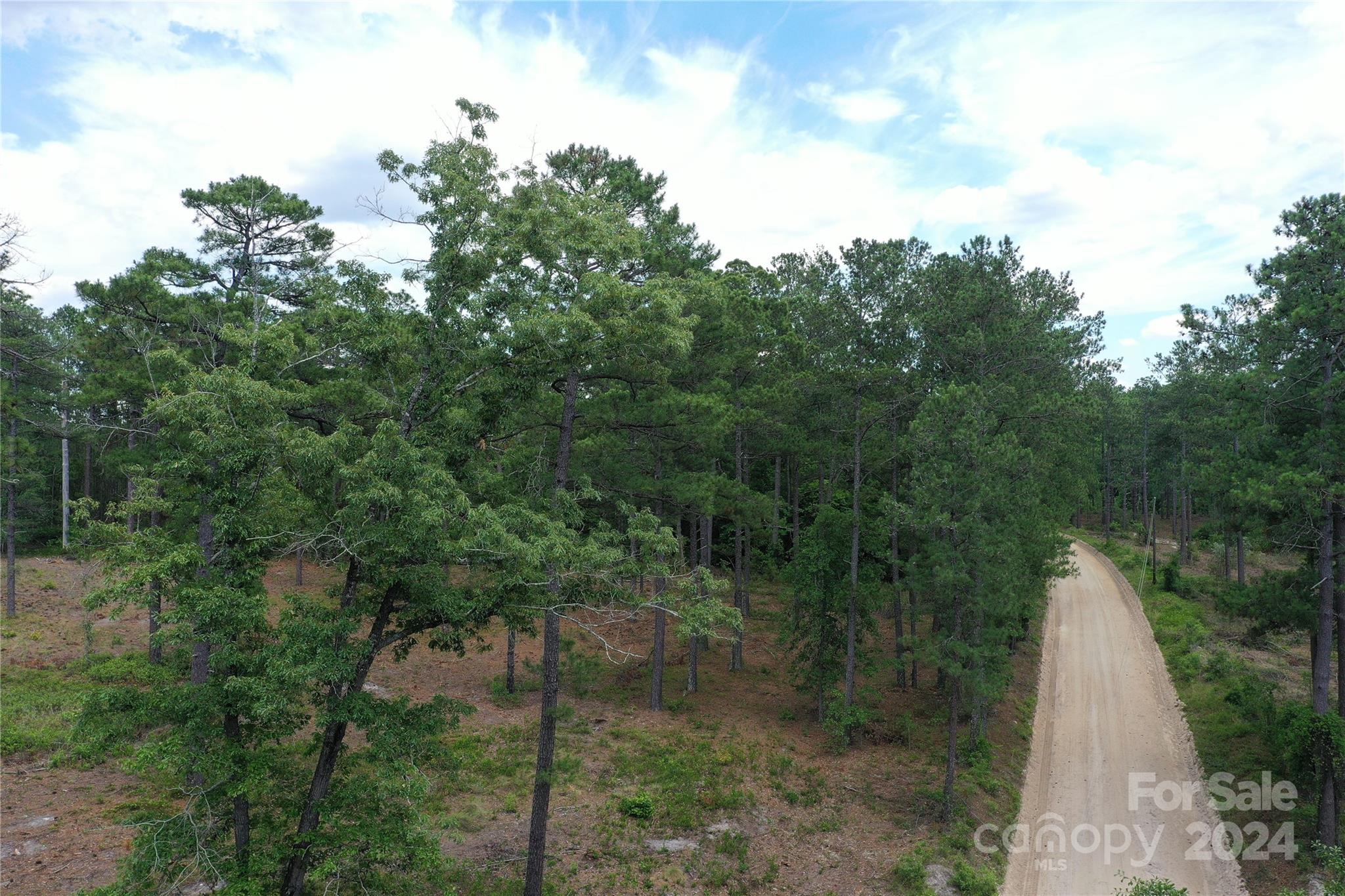 0 Jordan Farm Road Patrick, SC 29584 - Photo 3 of 15 Gallery Image 3