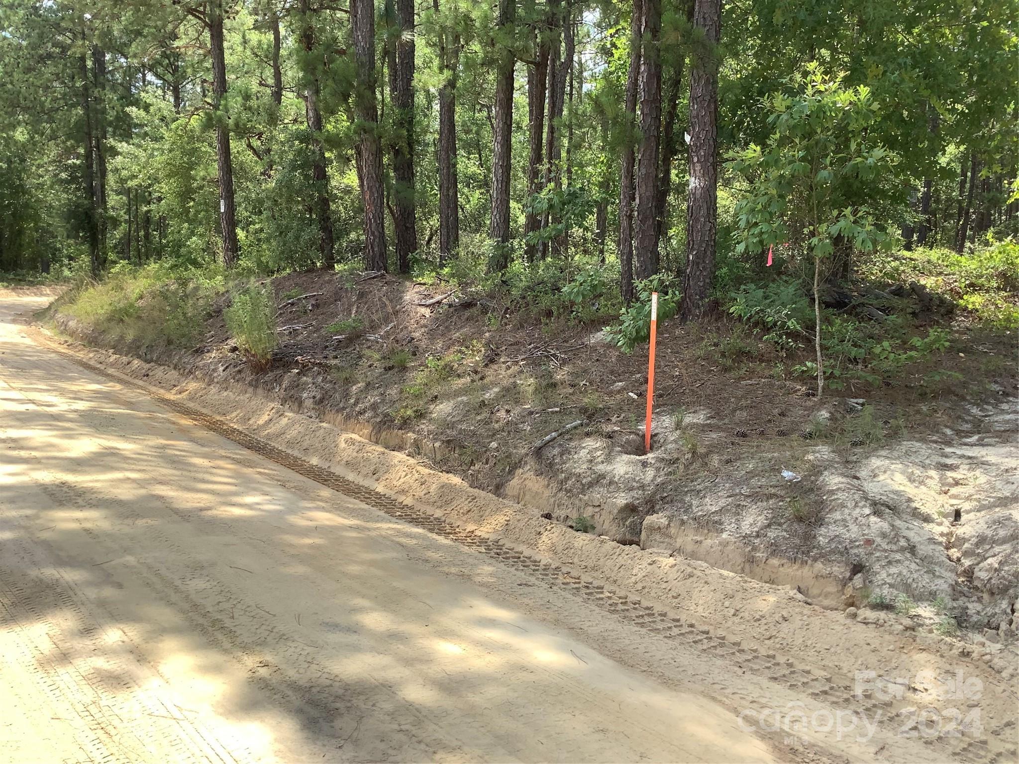 0 Jordan Farm Road Patrick, SC 29584 - Photo 4 of 15 Gallery Image 4