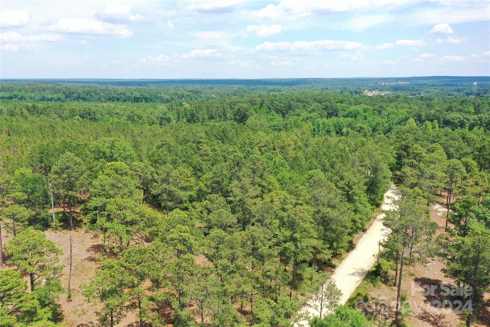 0 Jordan Farm Road Patrick, SC 29584 - Photo 5 of 15 Gallery Image 5