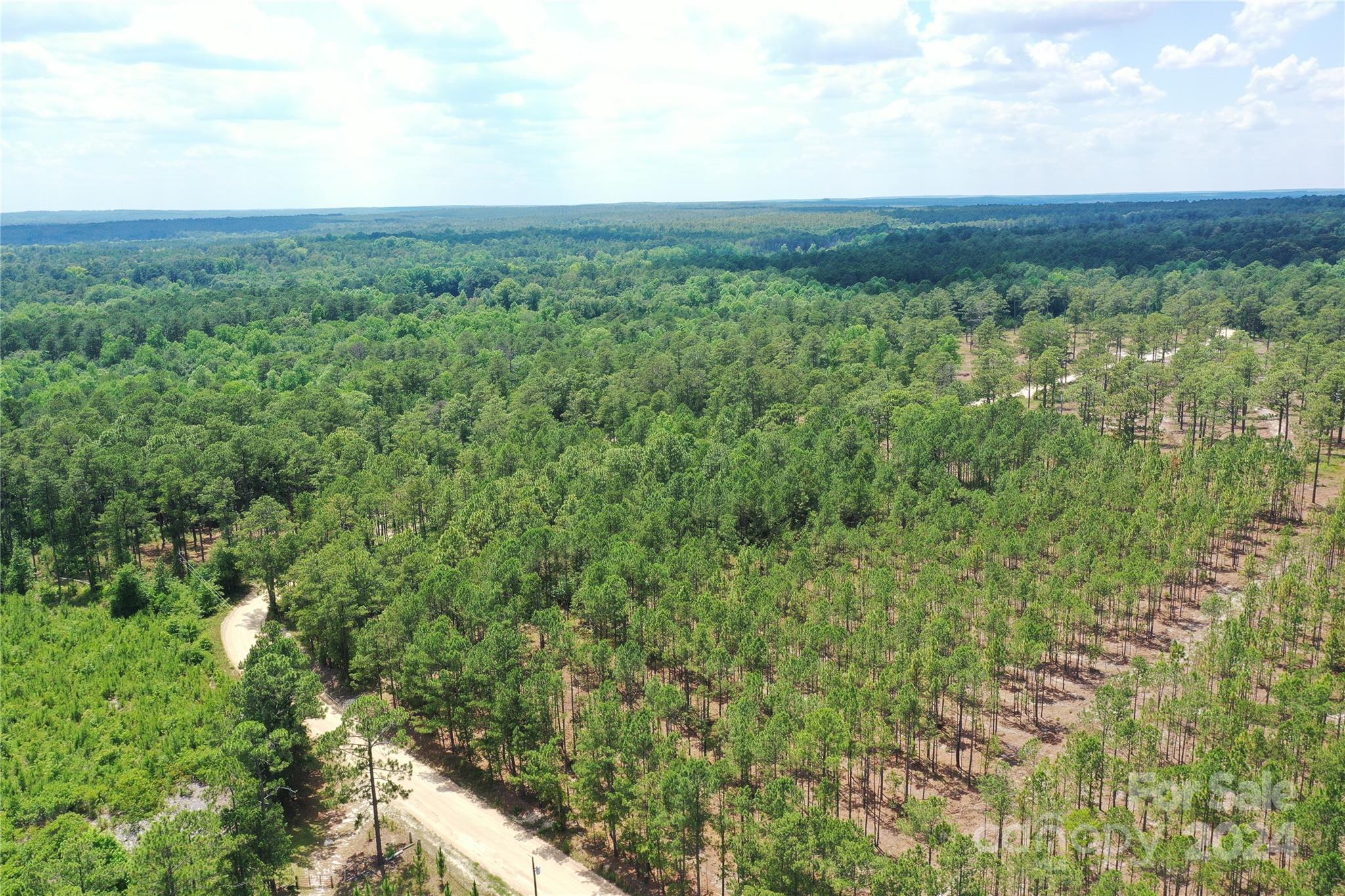 0 Jordan Farm Road Patrick, SC 29584 - Photo 8 of 15 Gallery Image 8
