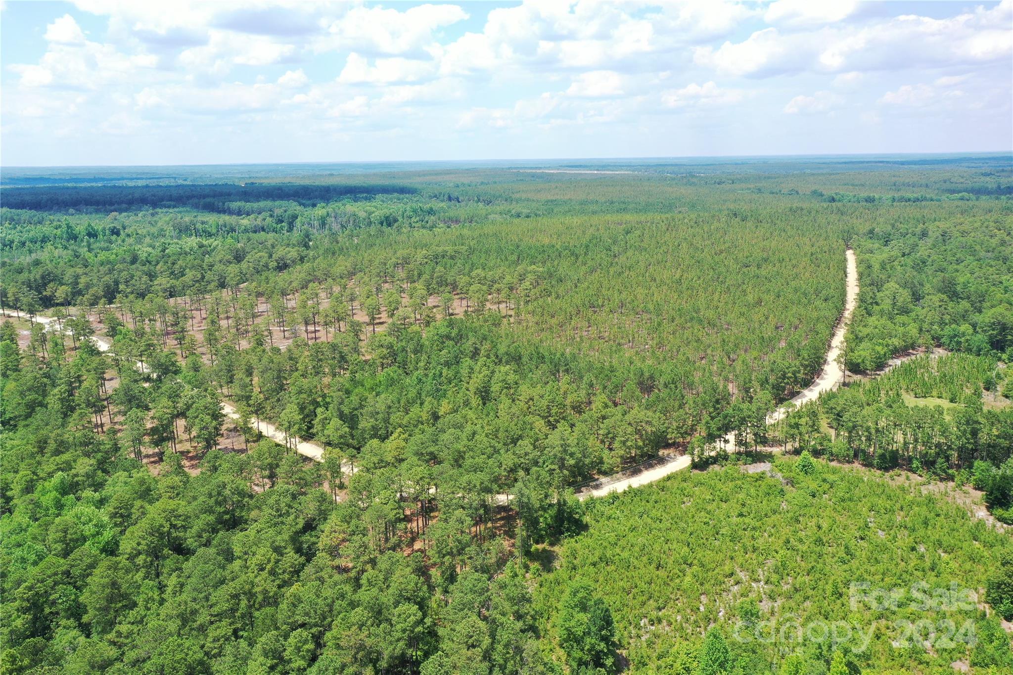 0 Jordan Farm Road Patrick, SC 29584 - Photo 10 of 15 Gallery Image 10