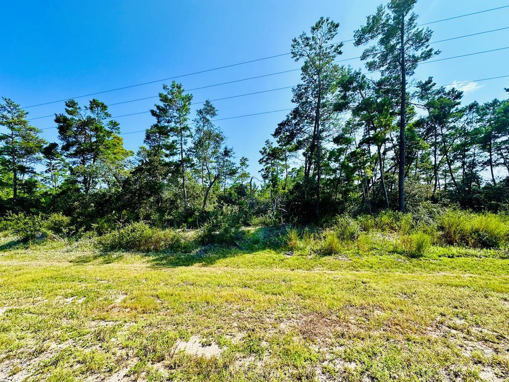 178 Airport Road Carrabelle, FL 32322 - Photo 2 of 12
