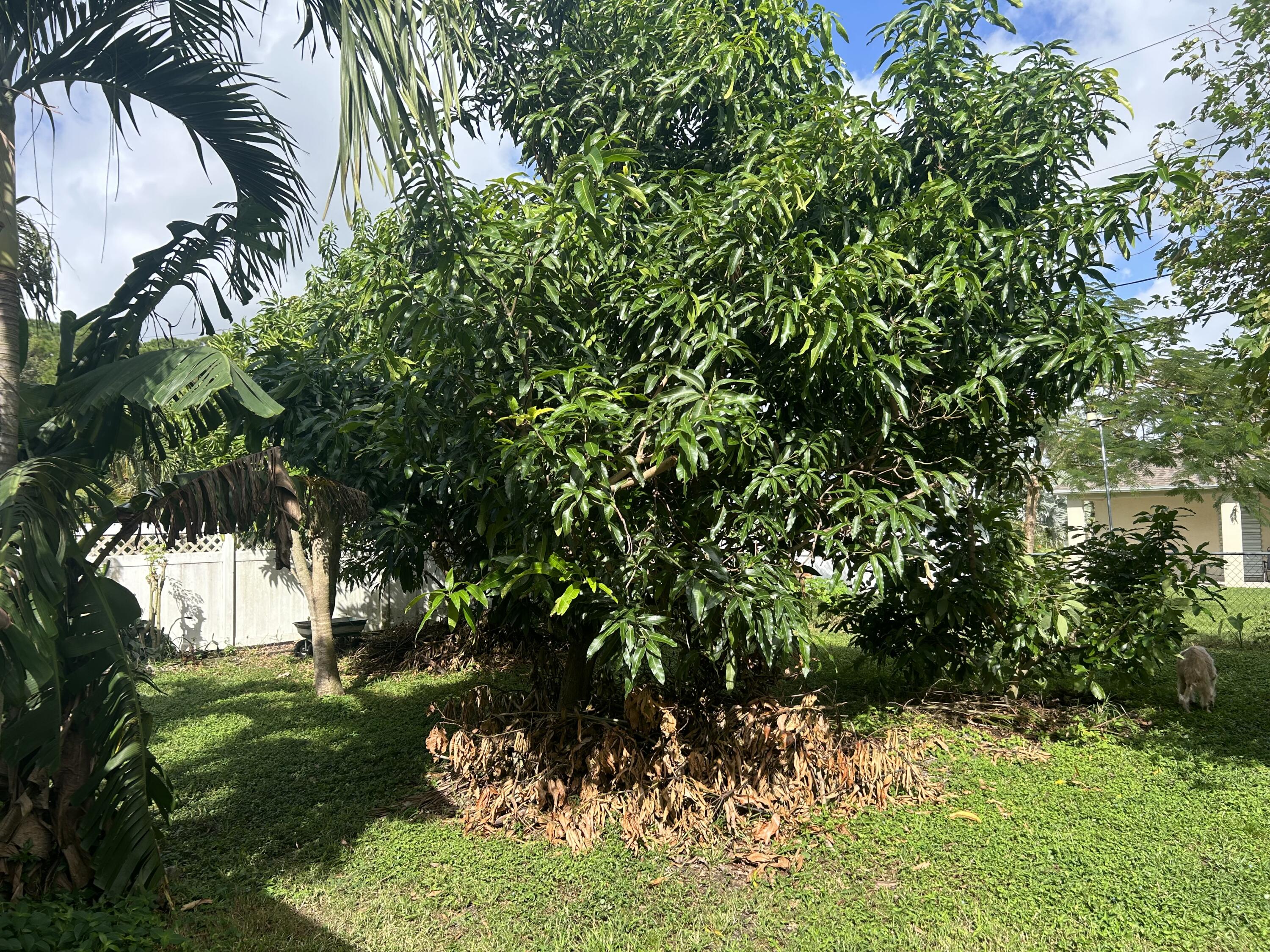 1297 Southwest Herald Road Port St. Lucie, FL 34953 - Photo 51 of 83 IMG_6603
