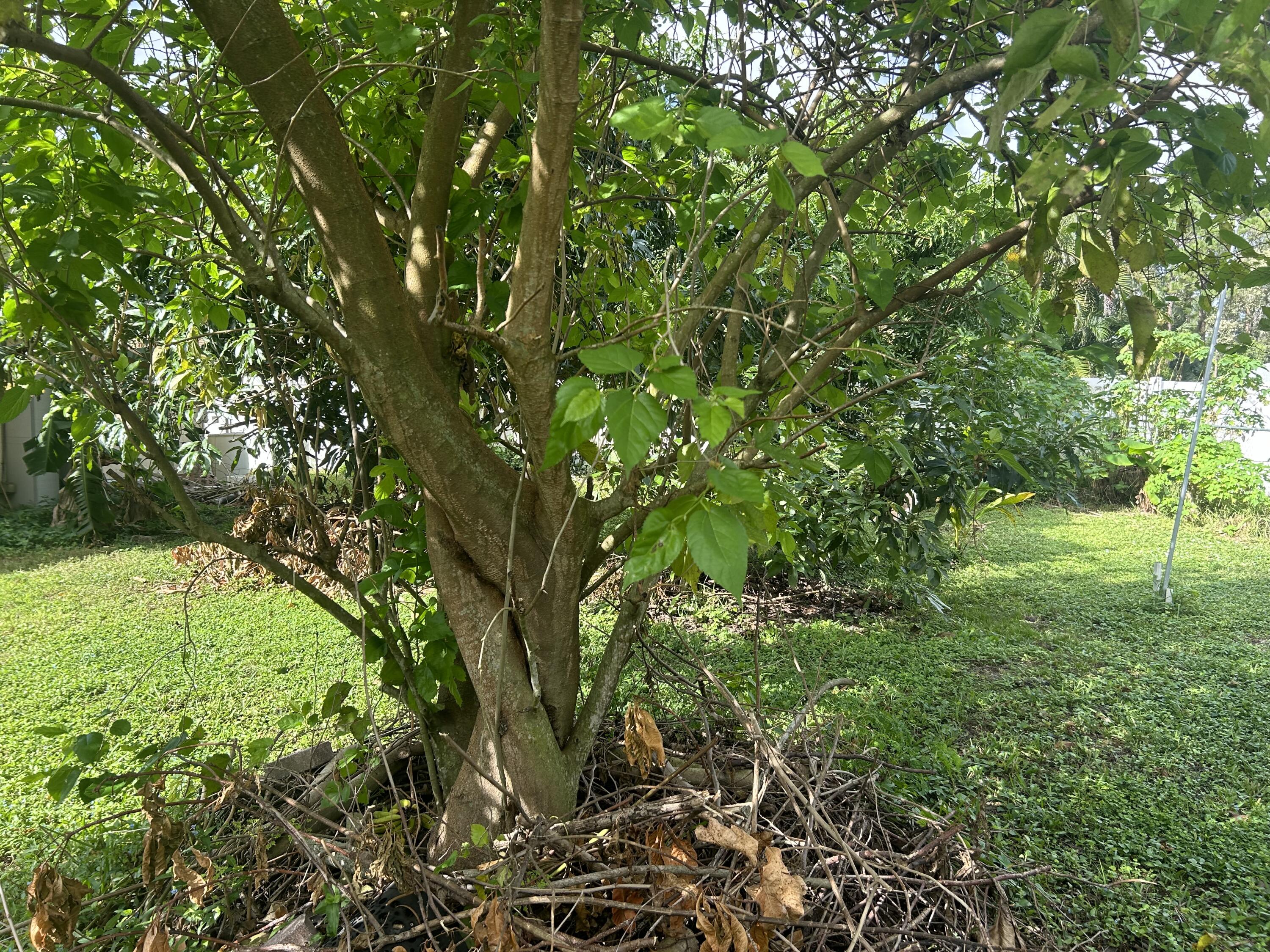 1297 Southwest Herald Road Port St. Lucie, FL 34953 - Photo 56 of 83 IMG_6610