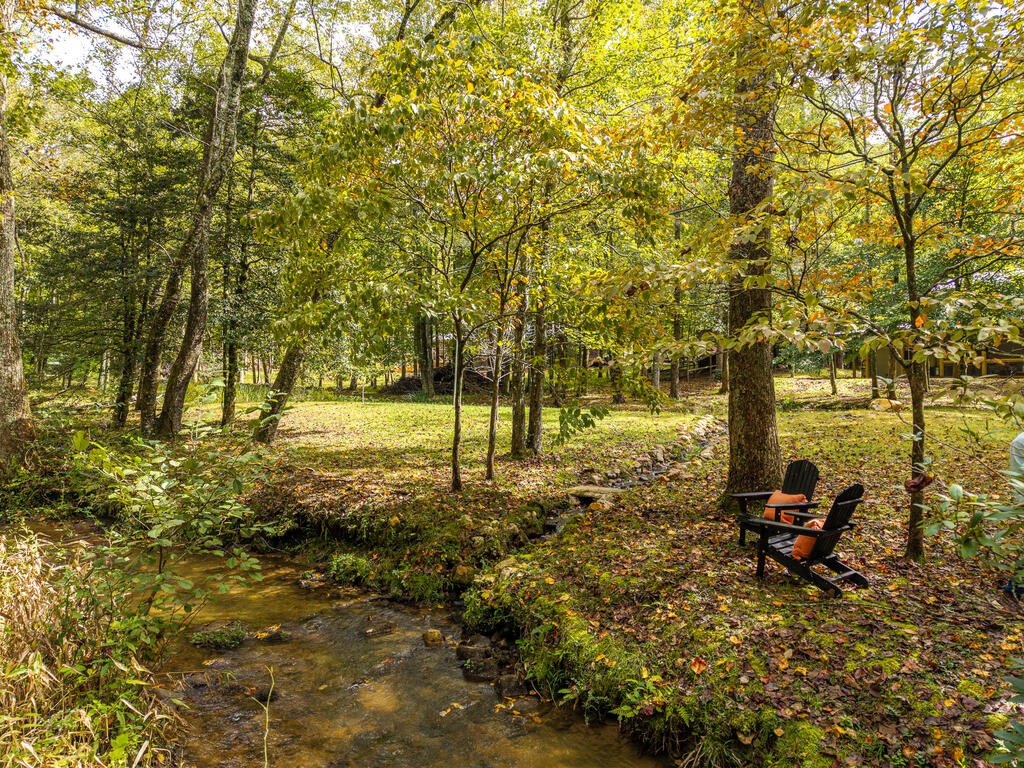 331 Rocky Hollow Road Ellijay, GA 30536 - Photo 16 of 70 Gallery Image 16