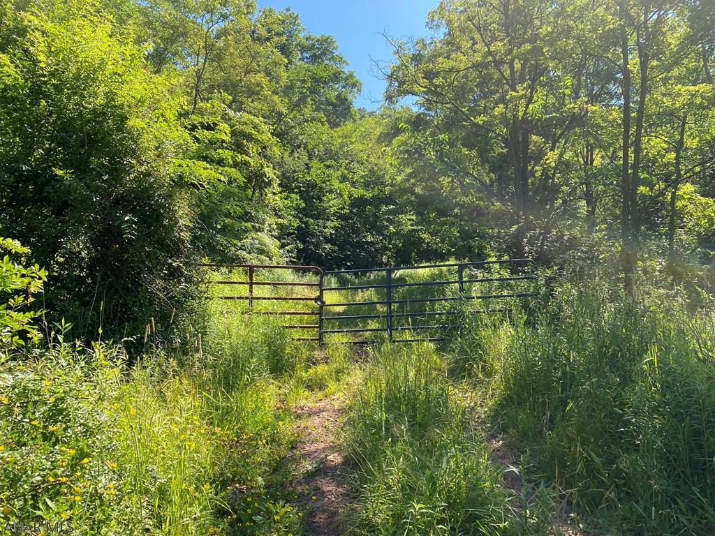 0 Fairhope Road Fairhope, PA 15538 - Photo 2 of 9