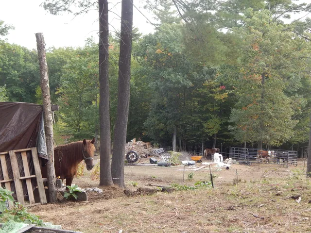 $398,900 | 125 Corn Hill Road, Brownfield, ME 04010