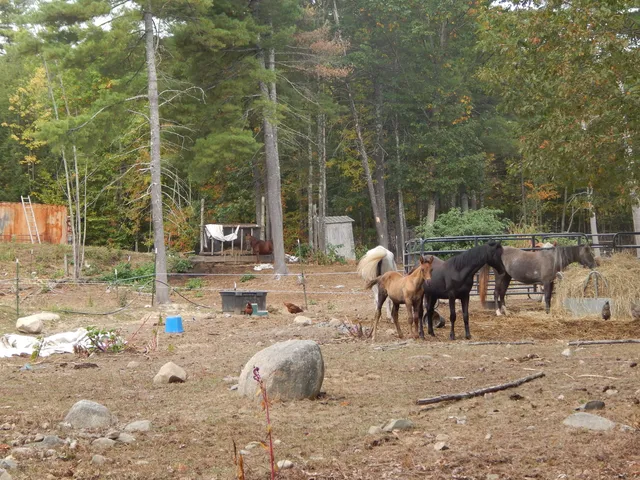 $398,900 | 125 Corn Hill Road, Brownfield, ME 04010