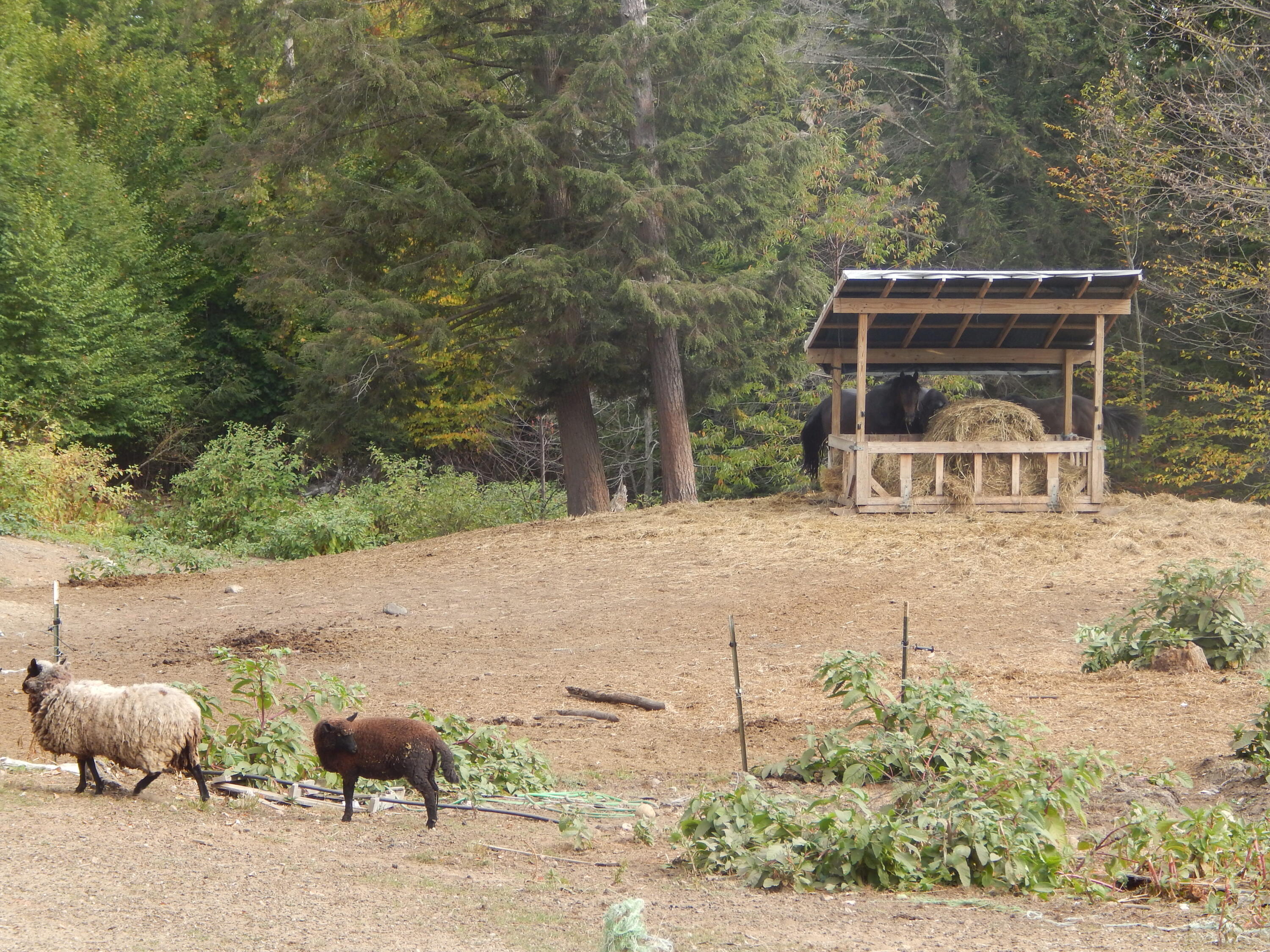 125 Corn Hill Road Brownfield, ME 04010 - Photo 7 of 38 DSCN9105