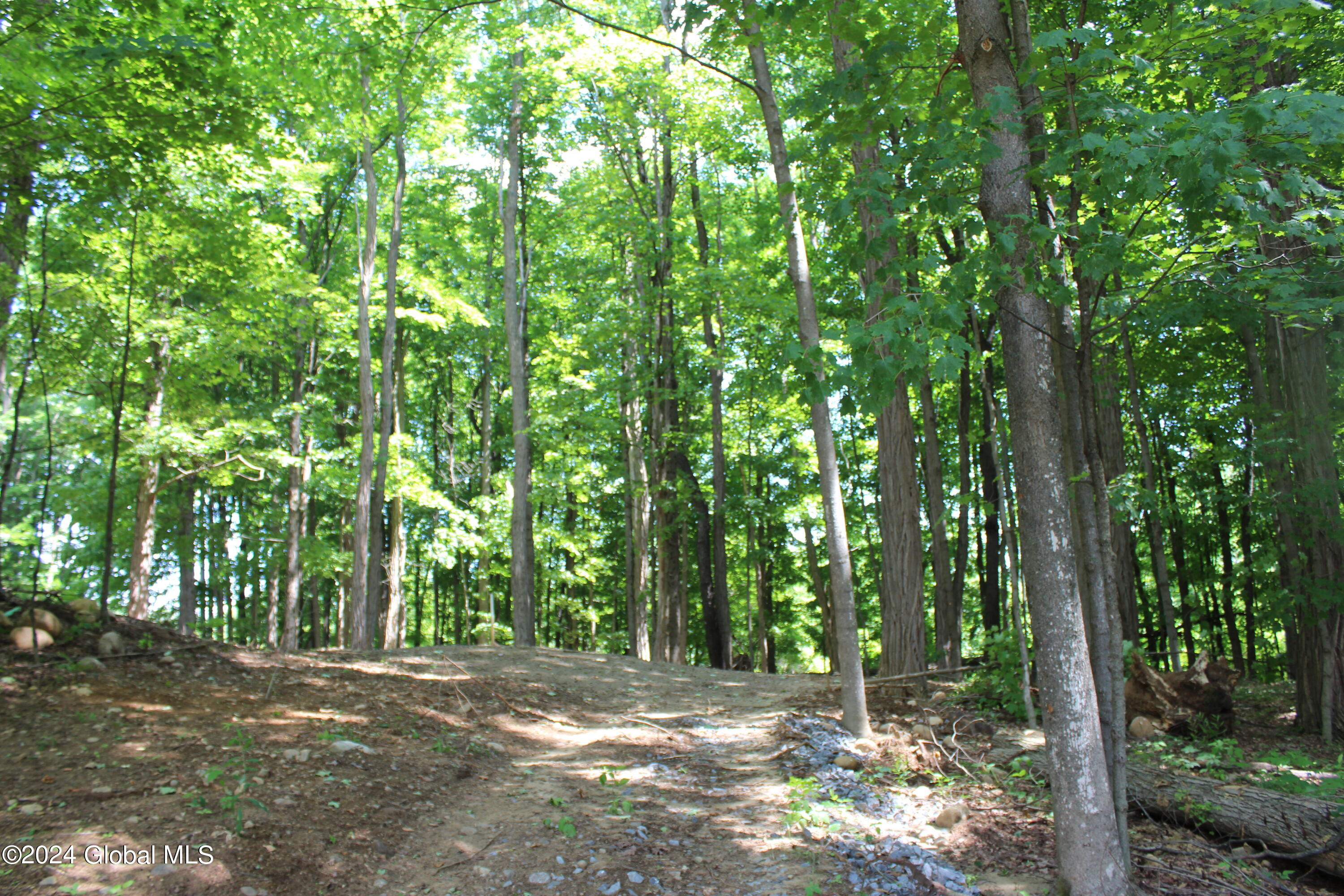 437 Coy Road Greenfield, NY 12833 - Photo 26 of 26 10a(1)