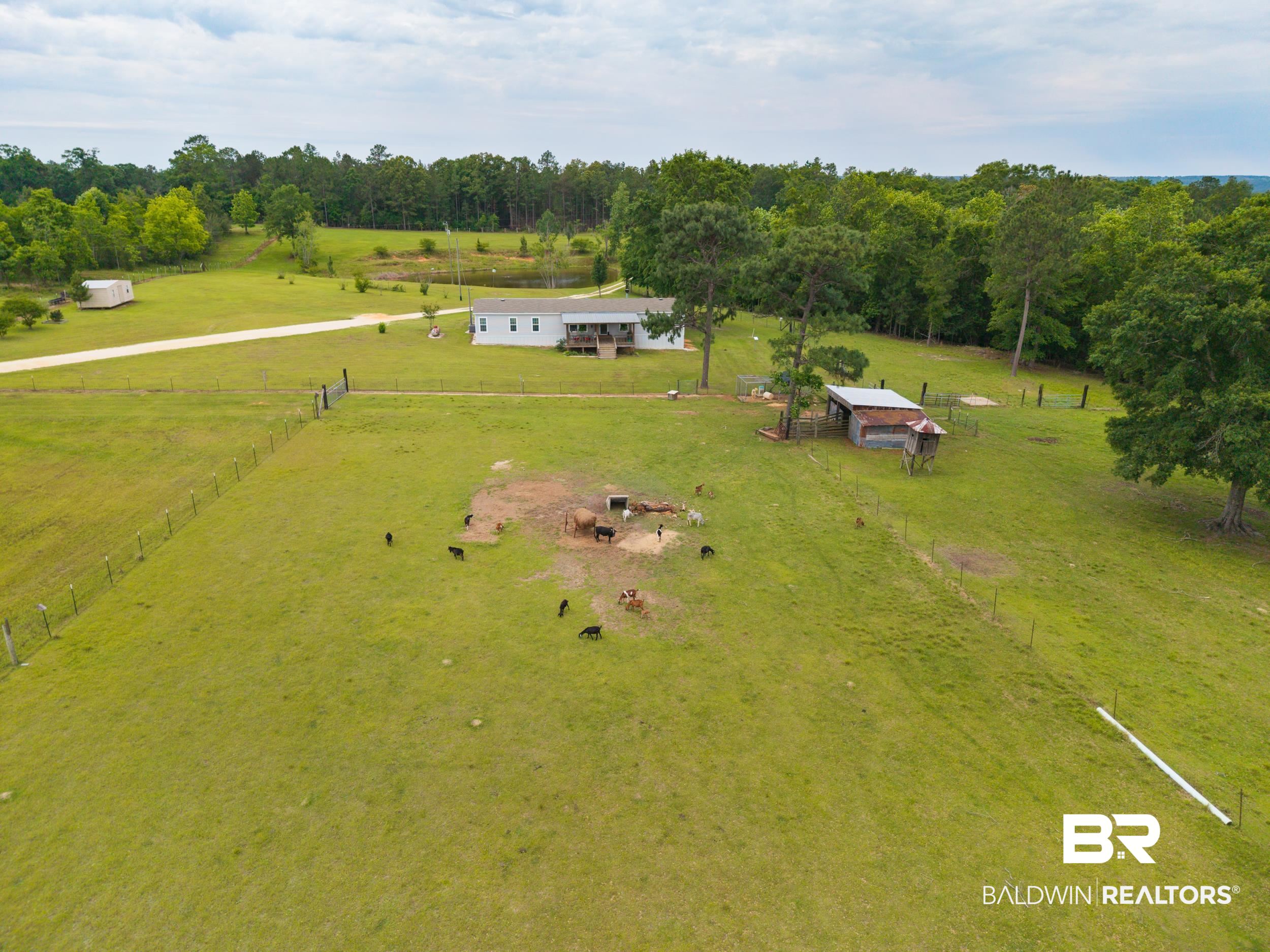 6725 Upper Creek Road Flomaton, AL 36441 - Photo 7 of 61 Aerial view of sparsely populated area with agricultural land