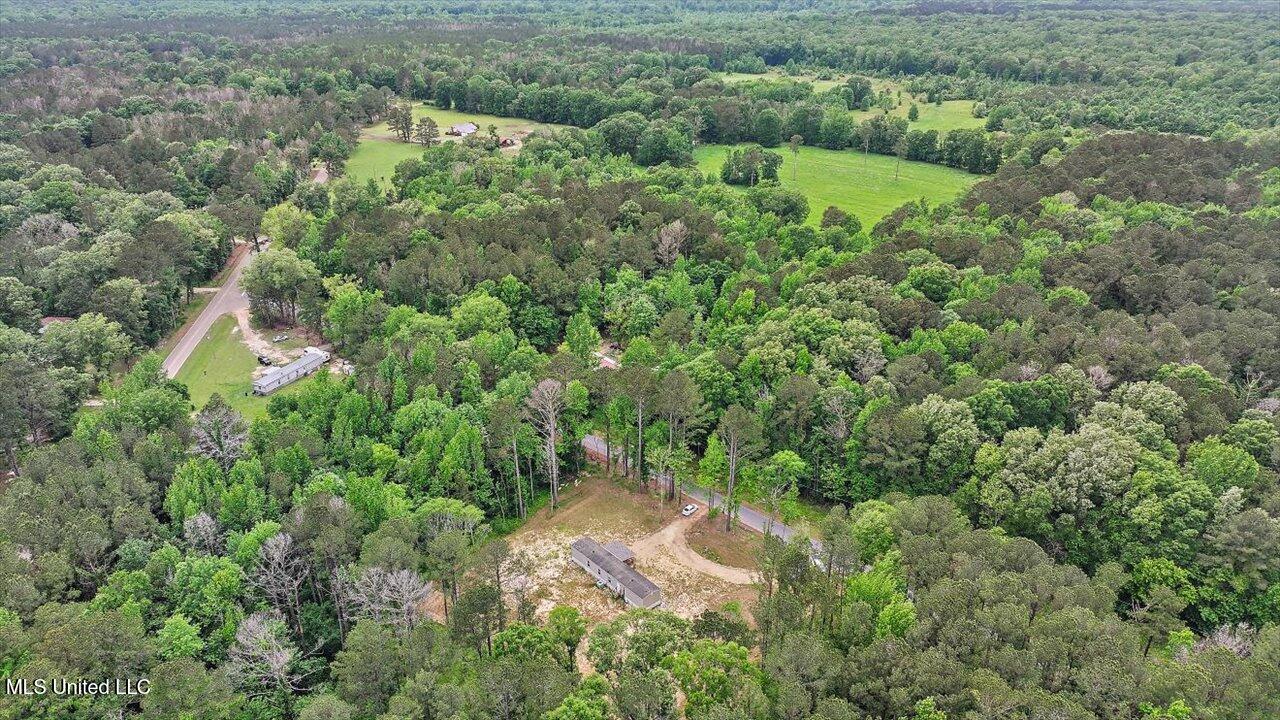 126 Haynes Chapel Road Pelahatchie, MS 39145 - Photo 42 of 48 42-126 Haynes Chapel Rd