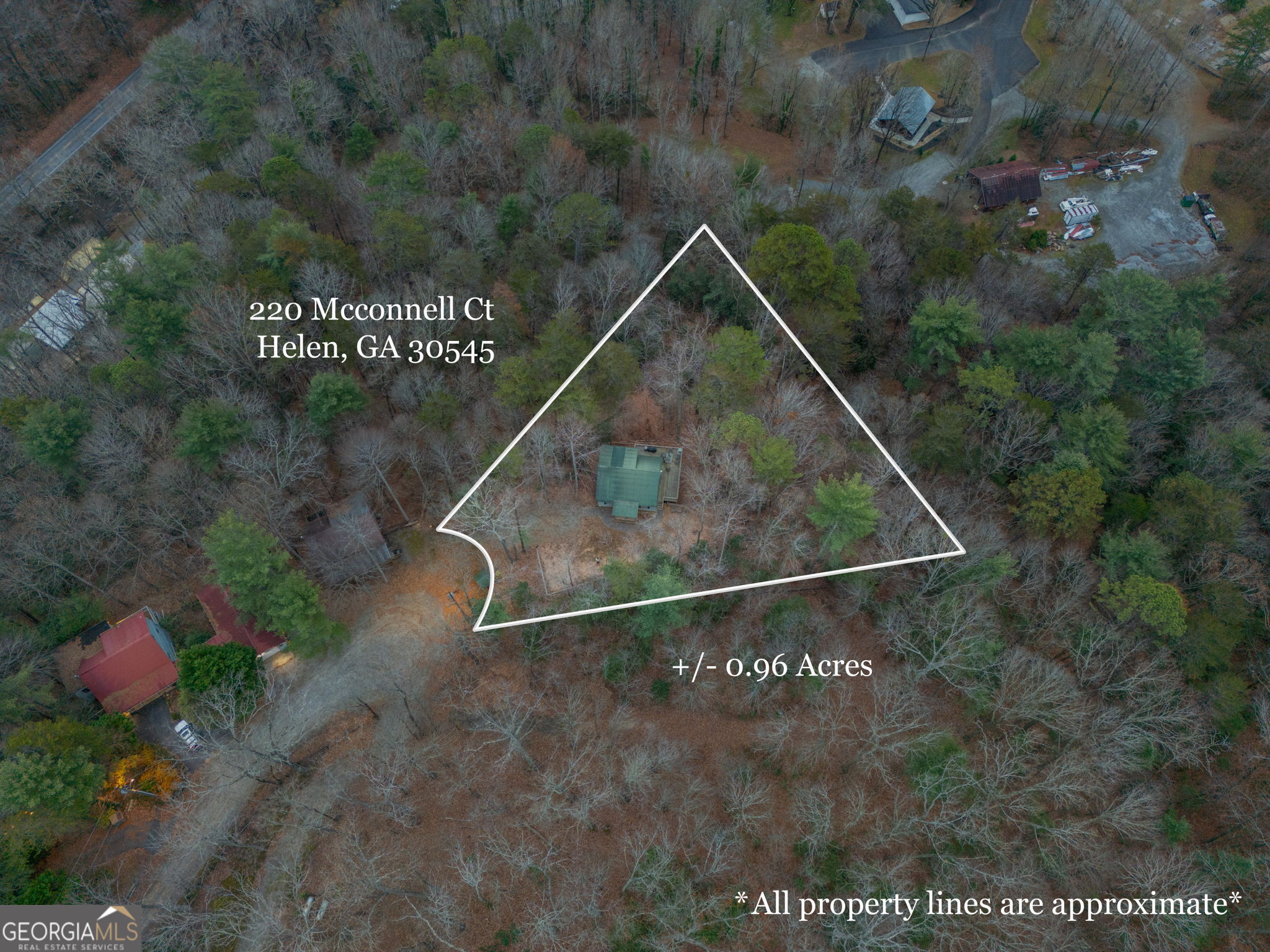 220 McConnell Court Helen, GA 30545 - Photo 33 of 37 a view of outdoor space