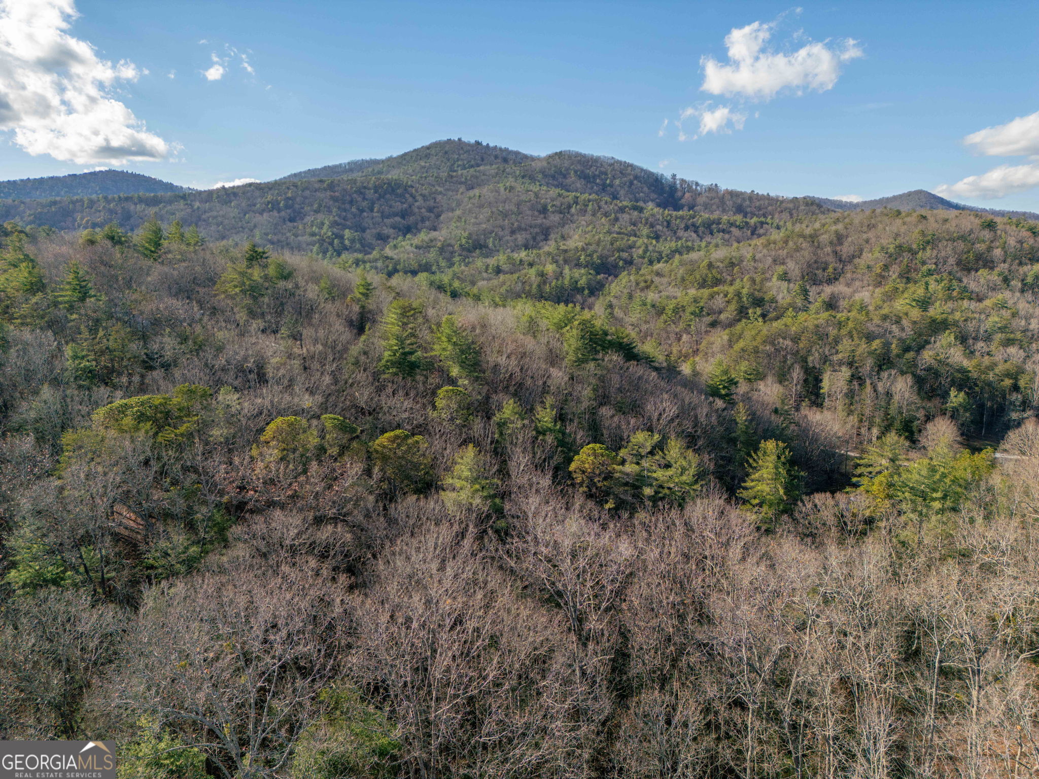 220 McConnell Court Helen, GA 30545 - Photo 36 of 37 a view of a lush green hillside and a mountain