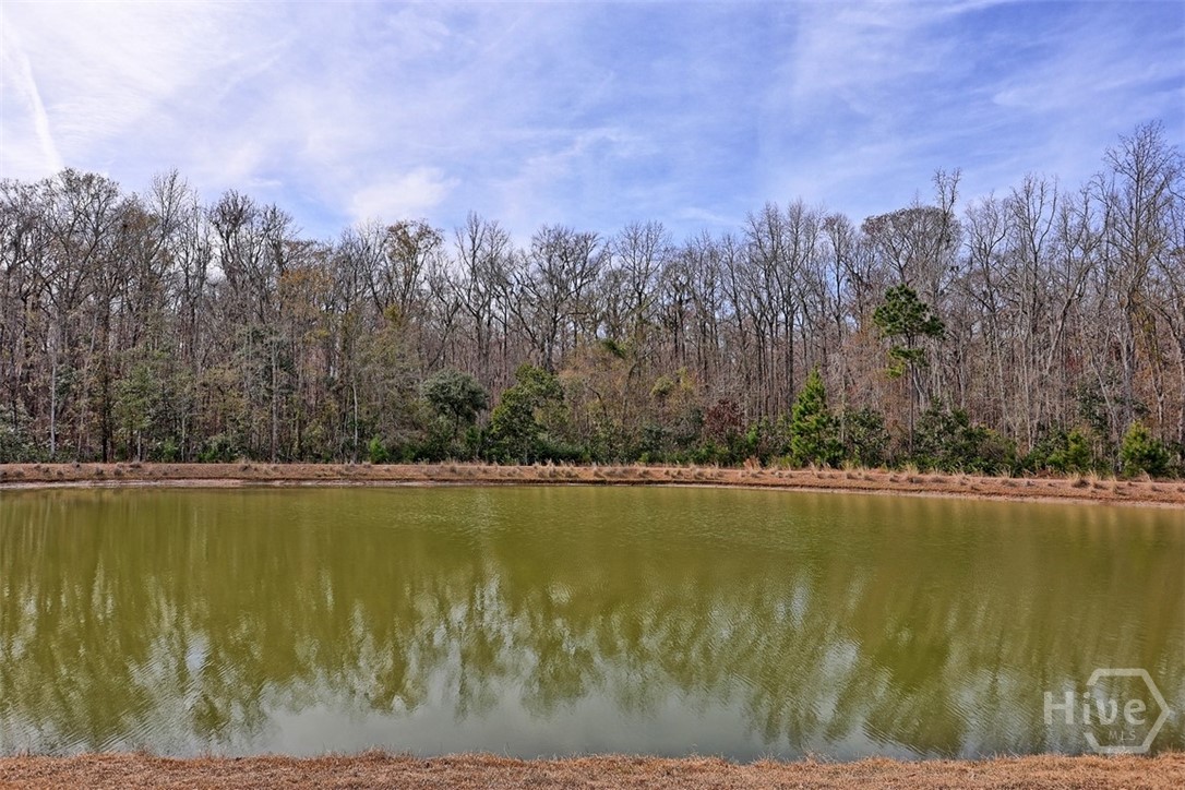123 Harvest Hill Pooler, GA 31322 - Photo 54 of 74 LAGOON VIEW