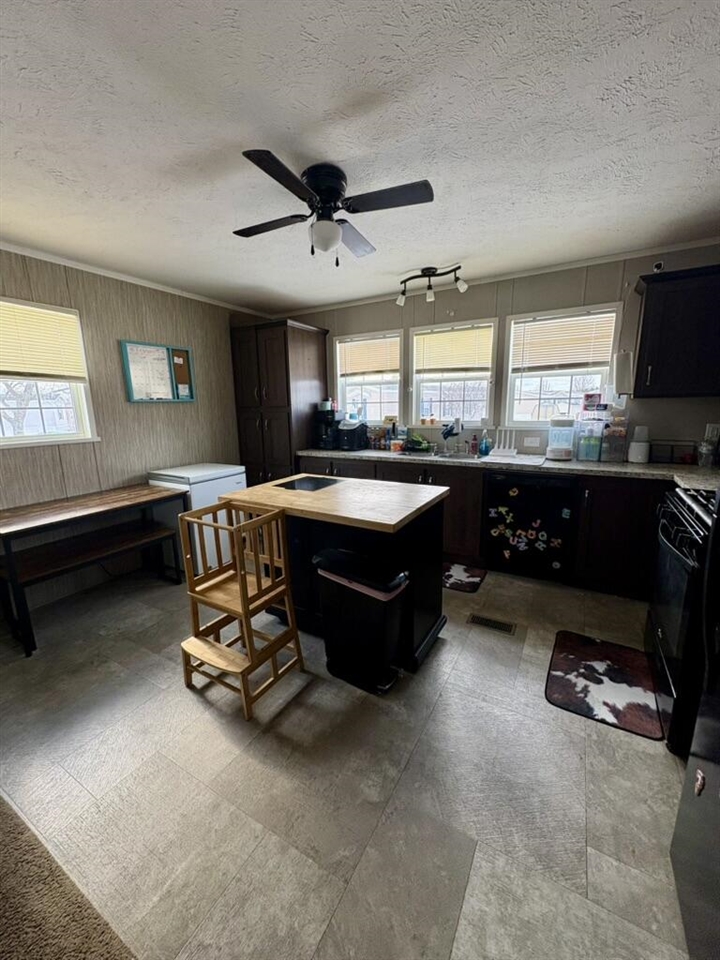 360 East Tuttle Road, Unit 217 Ionia, MI 48846 - Photo 4 of 25