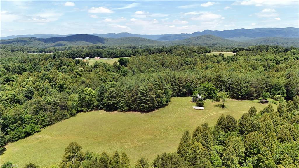 975 Cox Ridge Road Claudville, VA 24076 - Photo 48 of 50