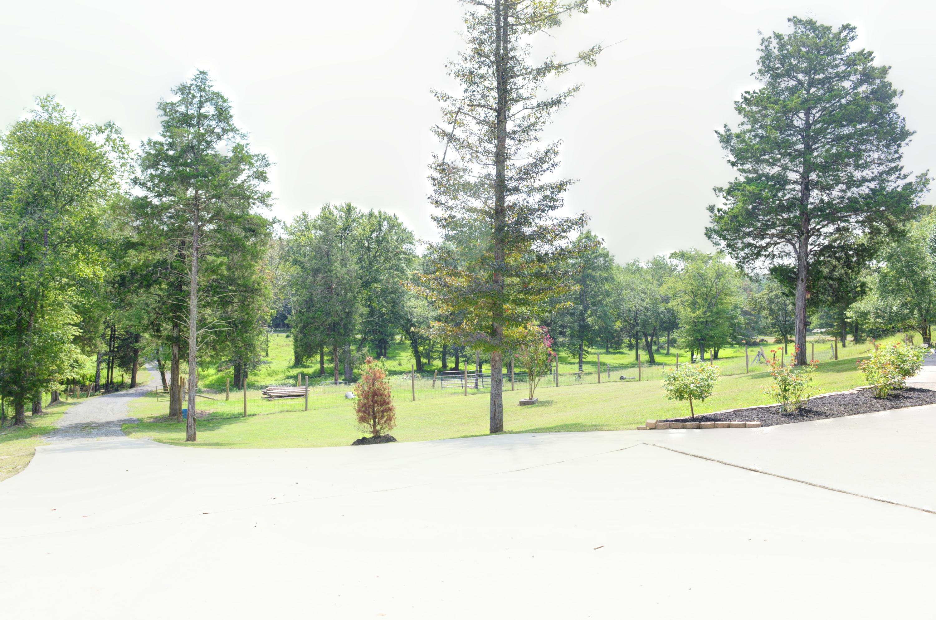 1374 Tom Garrison Road Evensville, TN 37332 - Photo 37 of 39 38-1374 Tom Garrison Front Yard 2