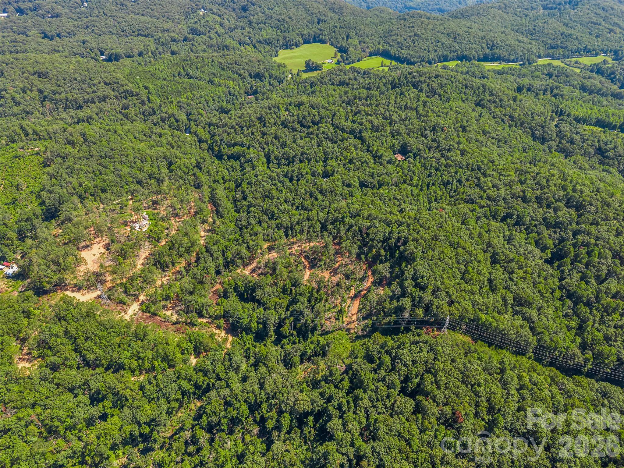 Tbd Early Road Saluda, NC 28773 - Photo 28 of 35 Gallery Image 28