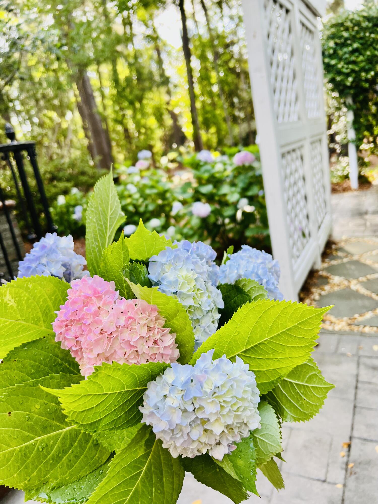 1351 Old Brickyard Road Mount Pleasant, SC 29466 - Photo 33 of 35 Rear yard garden