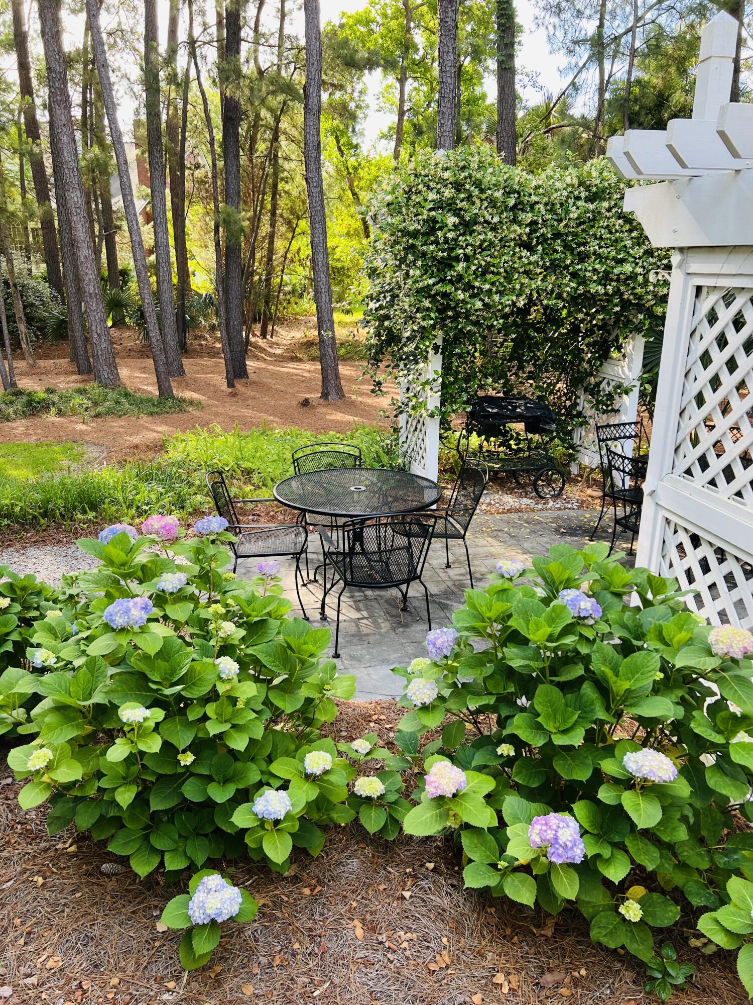 1351 Old Brickyard Road Mount Pleasant, SC 29466 - Photo 34 of 35 Rear yard garden