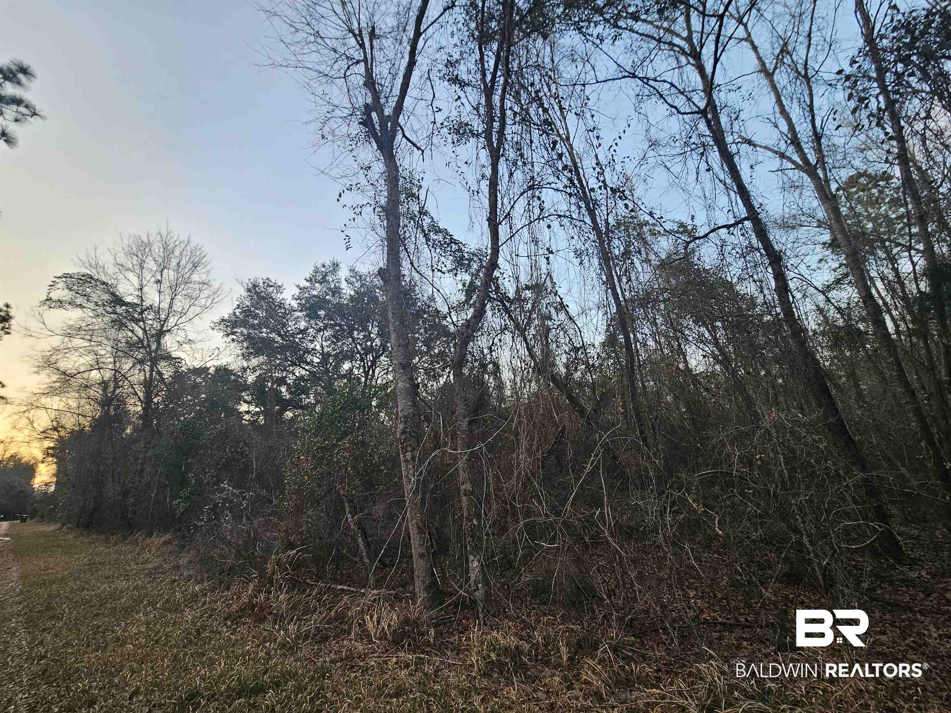 0 Lee Road Robertsdale, AL 36567 - Photo 1 of 4 Gallery Image 1