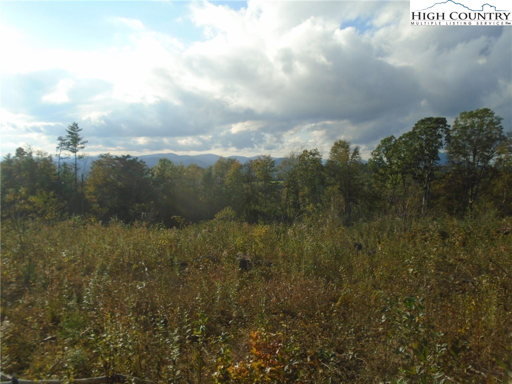 Pony Farm Road West Jefferson, NC 28694 - Photo 13 of 28 Gallery Image 13