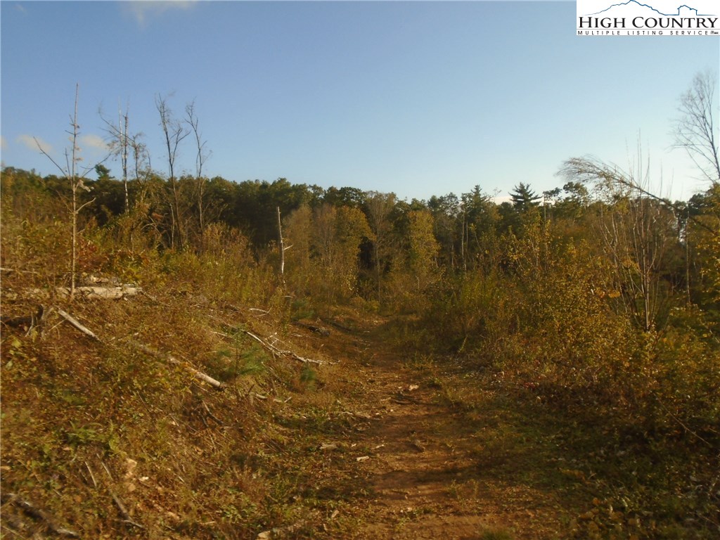 Pony Farm Road West Jefferson, NC 28694 - Photo 14 of 28 Gallery Image 14